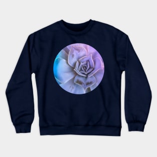 Echeveria succulent plant Crewneck Sweatshirt